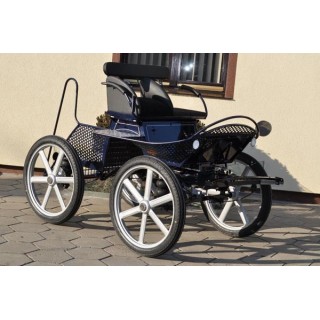 voiture attelage marathon loisir cheval cob cheval de trait