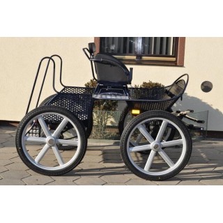 voiture attelage marathon loisir cheval cob cheval de trait