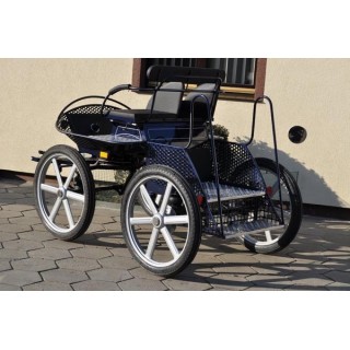 voiture attelage marathon loisir cheval cob cheval de trait