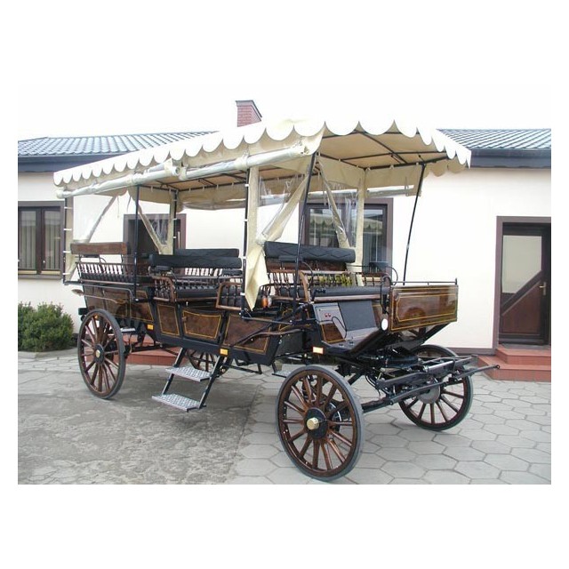 véhicule et voiture hippomobile wagonnette pour atteler des chevaux