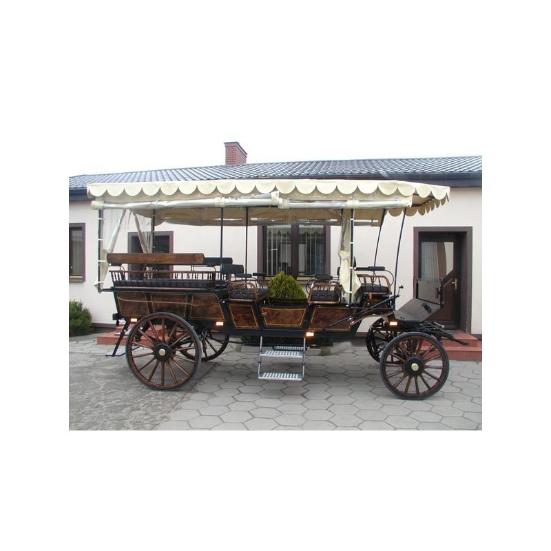 véhicule et voiture hippomobile wagonnette pour atteler des chevaux
