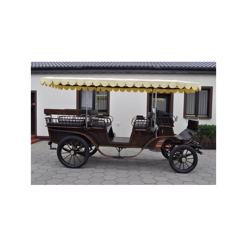 voiture hippomobile wagonnette pour atteler des chevaux