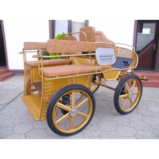 voiture attelage hippomobile marathon loisir avec roue  pneumatique