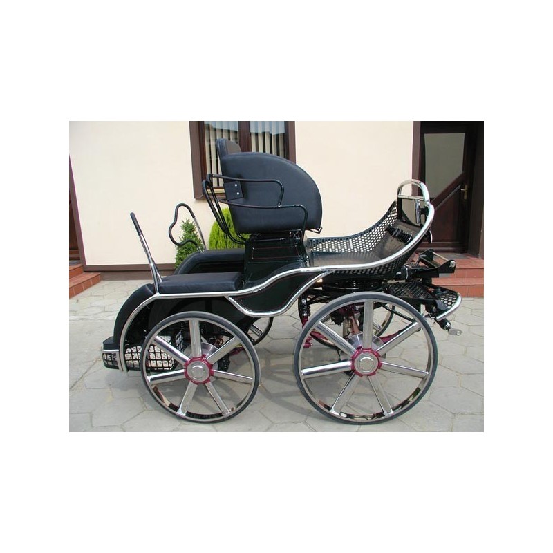 voiture attelage hippomobile 4 chevaux marathon