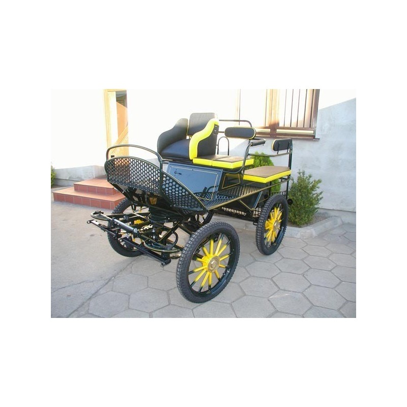 voiture attelage chevaux marathon loisir