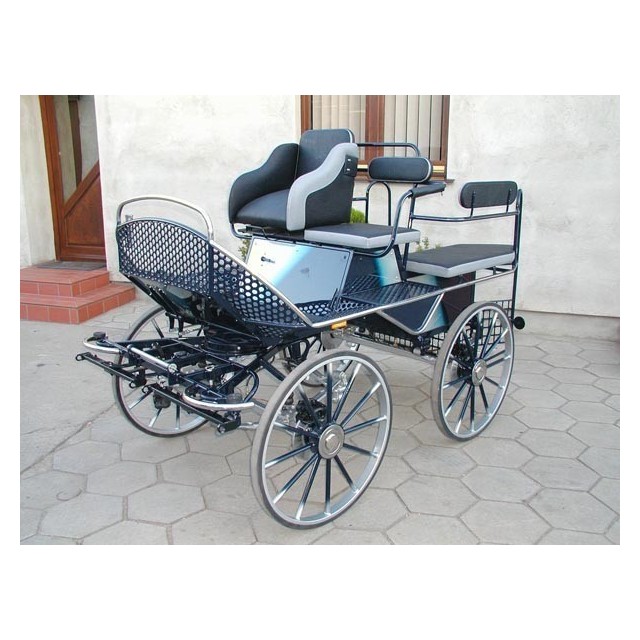 voiture training hippomobile