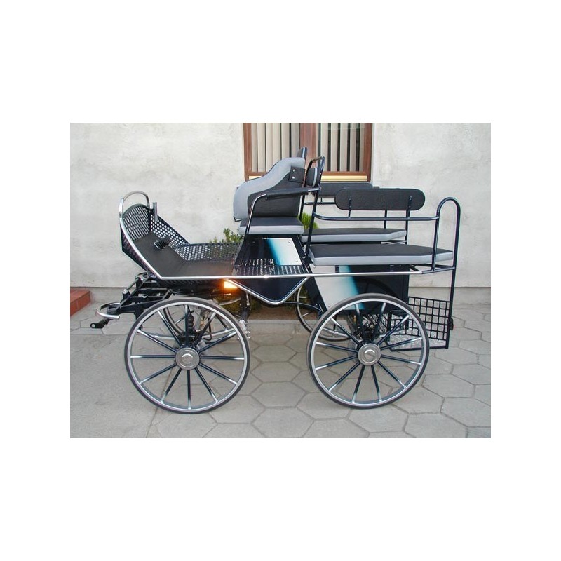 voiture training hippomobile