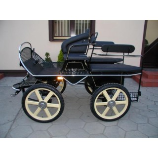 voiture training hippomobile
