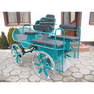 voiture training hippomobile