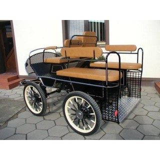 voiture training hippomobile