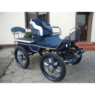 voiture training hippomobile