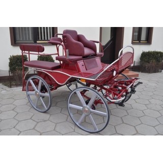 voiture training hippomobile