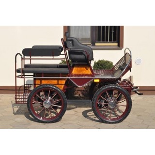 voiture training hippomobile