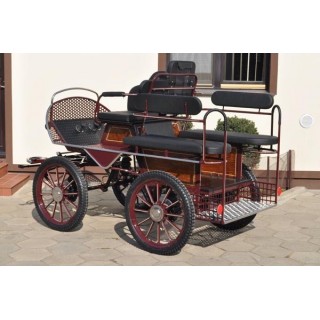 voiture training hippomobile