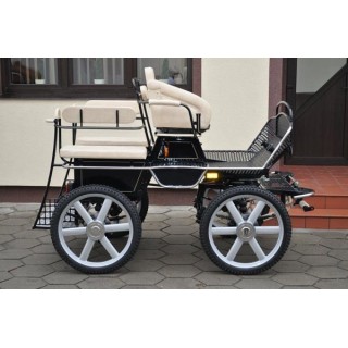 voiture training hippomobile