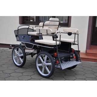 voiture training hippomobile