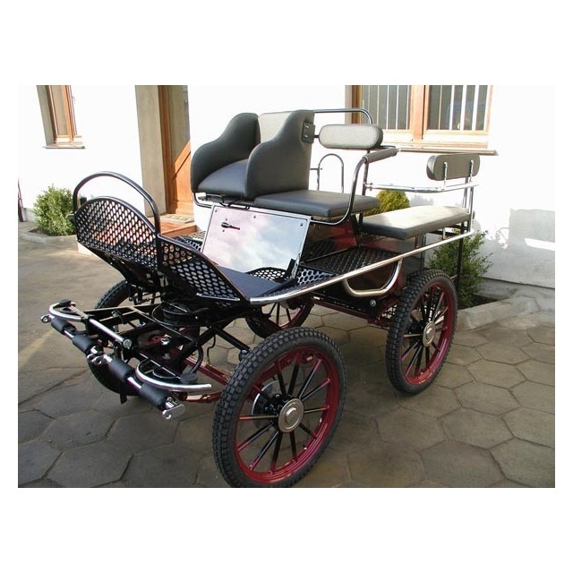 marathon hippomobile pour deux chevaux de loisir