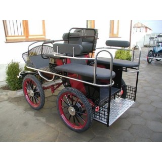 marathon hippomobile pour deux chevaux de loisir