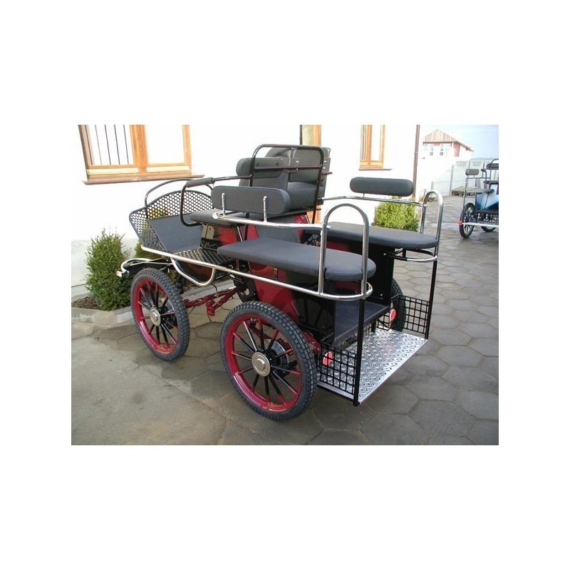 marathon hippomobile pour deux chevaux de loisir