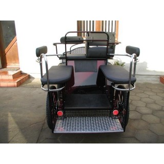 marathon hippomobile pour deux chevaux de loisir