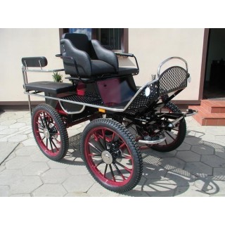 marathon hippomobile pour deux chevaux de loisir