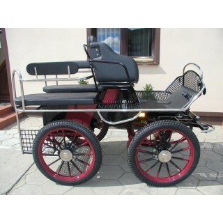 marathon hippomobile pour deux chevaux de loisir