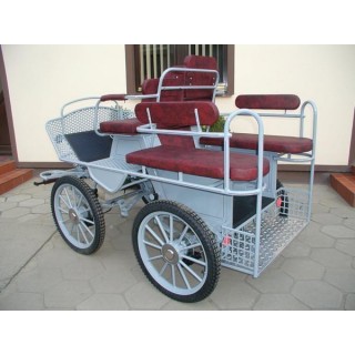 marathon hippomobile pour deux chevaux de loisir