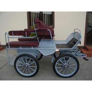 marathon hippomobile pour deux chevaux de loisir