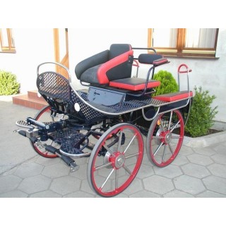 marathon hippomobile attelage competition