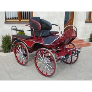 marathon loisir training attelage hippomobile chevaux