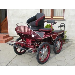 marathon loisir training attelage hippomobile chevaux