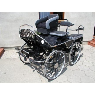 marathon loisir training attelage hippomobile chevaux