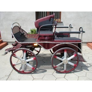 marathon loisir training attelage hippomobile chevaux