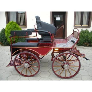 marathon loisir training attelage hippomobile chevaux