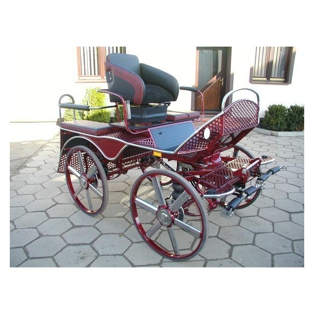Voiture hippomobile marathon