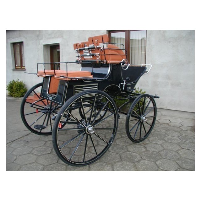 Break 2 ou 4 chevaux 00484
