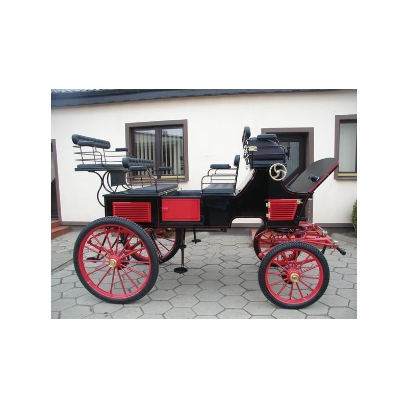 Break 2 ou 4 chevaux 04898