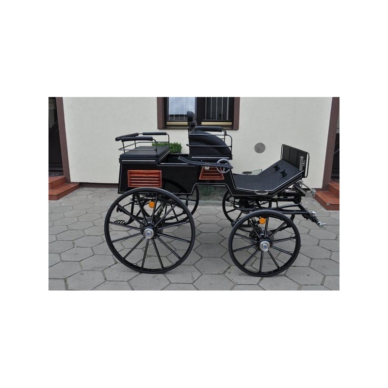 Sport Break poneys 06729