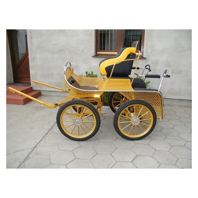voiture hippomobile chevaux marathon loisir training avec roue pneumatique