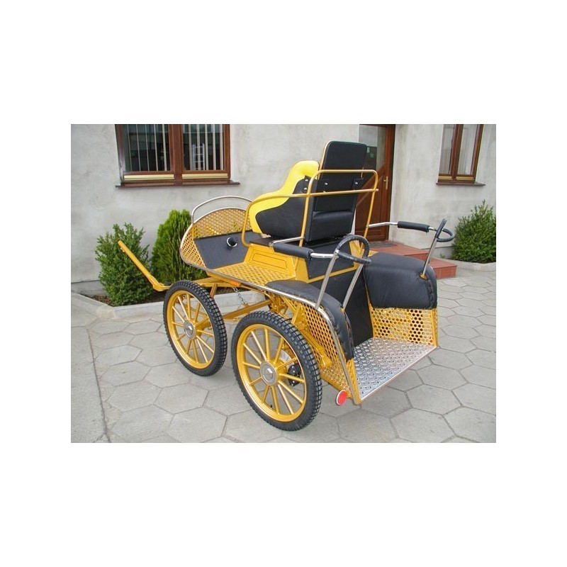 voiture hippomobile chevaux marathon loisir training avec roue pneumatique