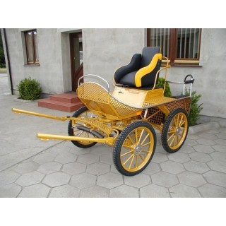 voiture hippomobile chevaux marathon loisir training avec roue pneumatique