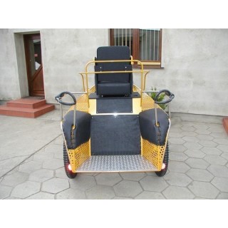 voiture hippomobile chevaux marathon loisir training avec roue pneumatique