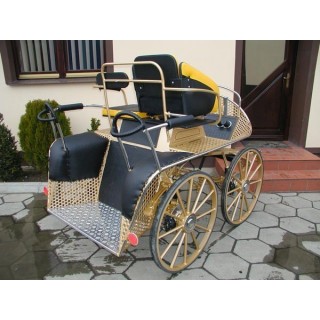 voiture hippomobile chevaux marathon loisir training avec roue pneumatique