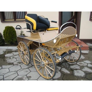voiture hippomobile chevaux marathon loisir training avec roue pneumatique