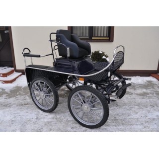 voiture hippomobile chevaux marathon loisir training avec roue pneumatique