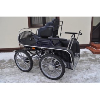 voiture hippomobile chevaux marathon loisir training avec roue pneumatique