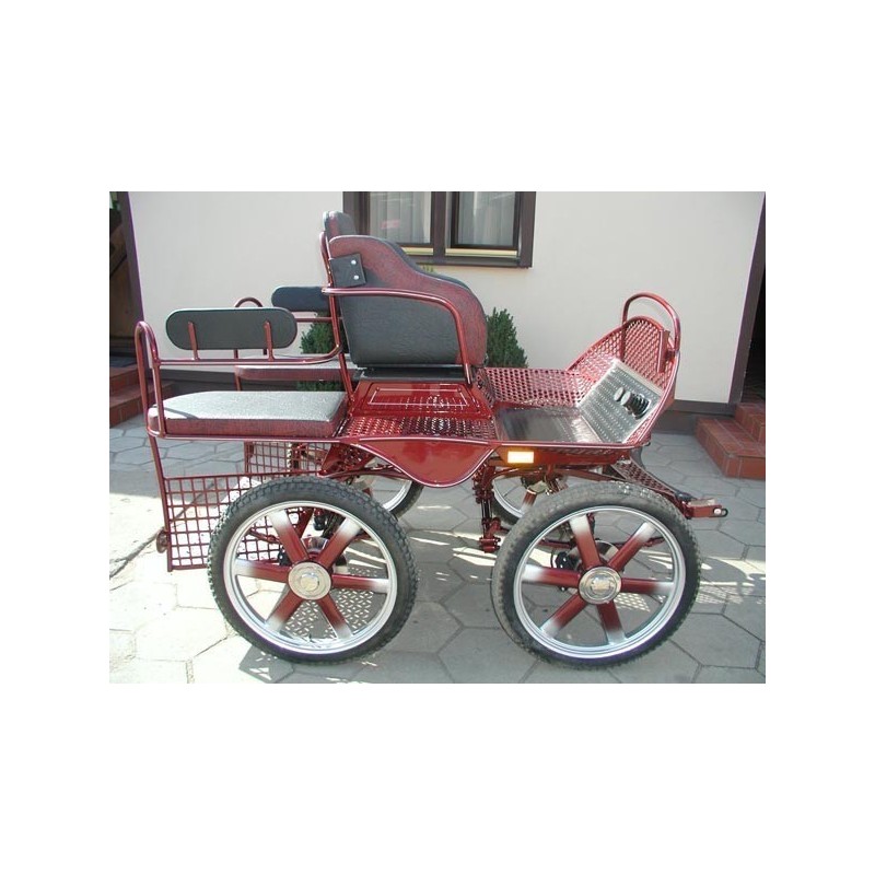 voiture attelage marathon loisir poney cheval