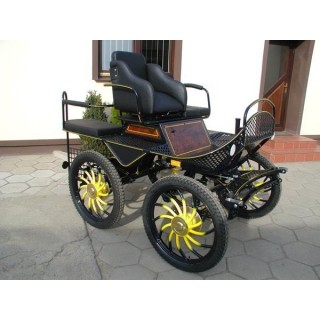 voiture attelage marathon loisir poney cheval