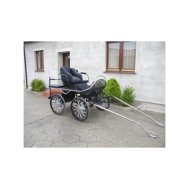 voiture attelage marathon loisir poney cheval anes