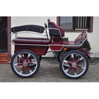 marathon loisir pour voiture hippomobile chevaux